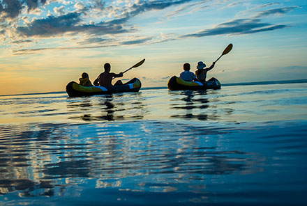 People kayaking on an open body of water