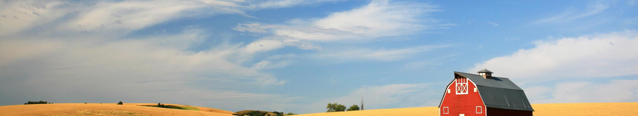 Red Barn in golden hay field